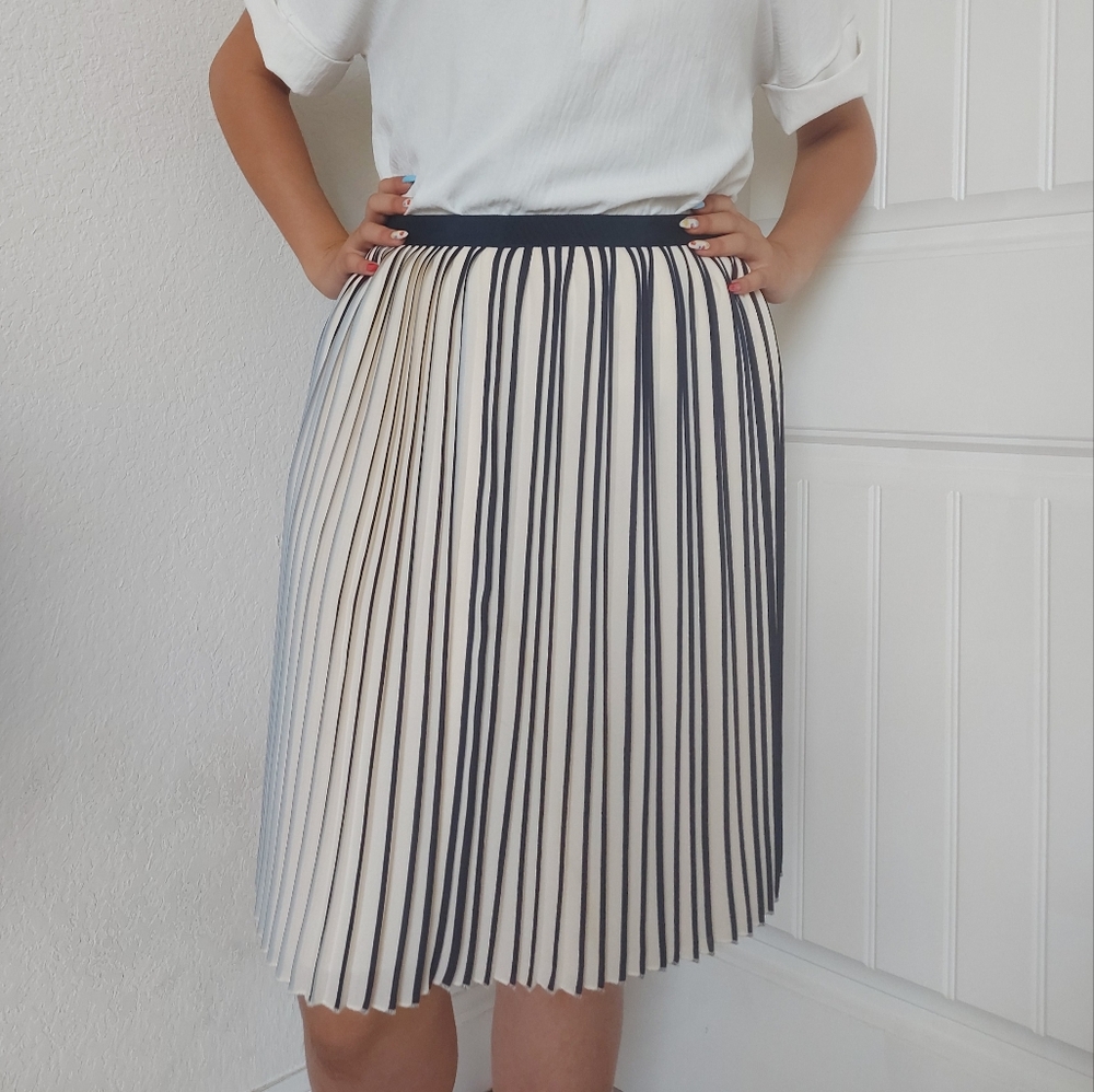 J.Crew Pleated Skirt